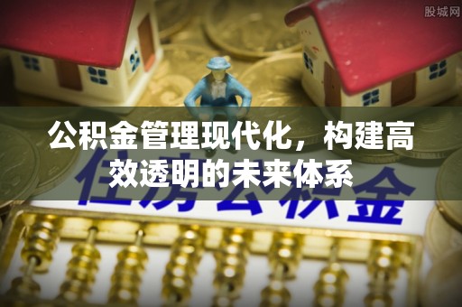 大堂公积金管理现代化，构建高效透明的未来体系